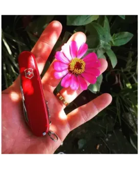 Scyzoryk Victorinox SwissChamp 1.6795