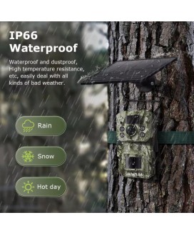 Fotopułapka Kamera leśna H81 4G GPS